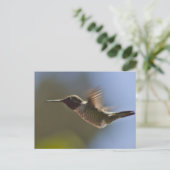Hummingbird in vlucht briefkaart (Staand voorkant)