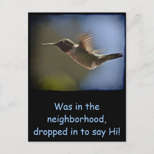 Hummingbird in vlucht briefkaart