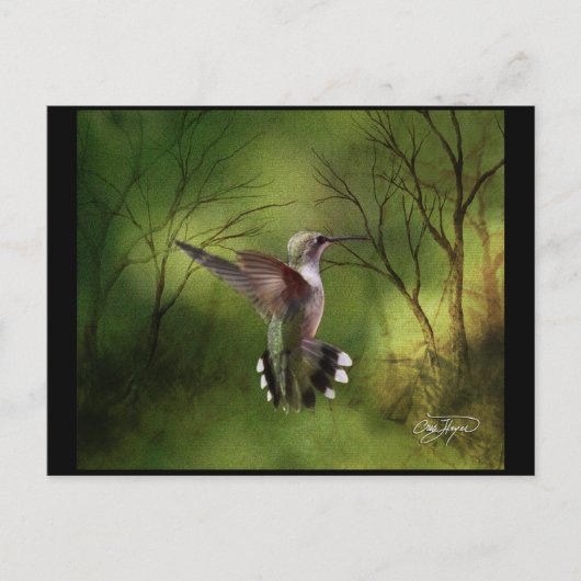 Hummingbird in vlucht briefkaart (Voorkant)