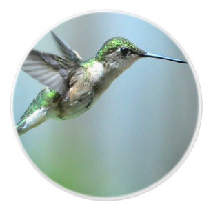 Hummingbird in vlucht Foto Keramische Knop