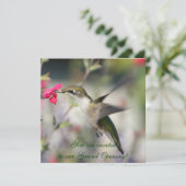 Hummingbird in vlucht kaart (Staand voorkant)