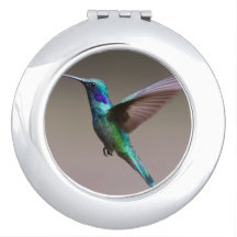 Hummingbird in vlucht