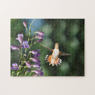 Hummingbird in vlucht met aangestoken puzzel