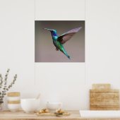 Hummingbird in vlucht poster (Keuken)