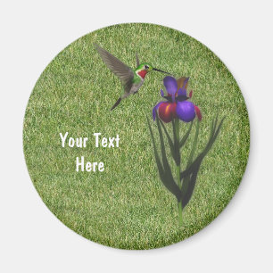 Hummingbird Iris Flower Magnet Magneet