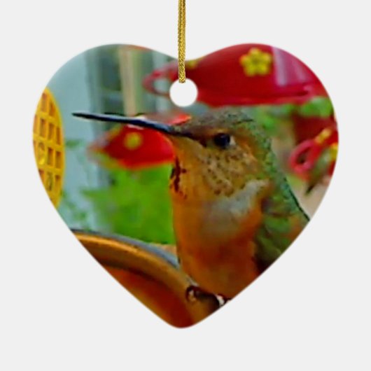 Hummingbird Keepomwille Ornament (Achterkant)