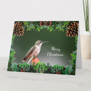 Hummingbird kerstkaart kaart