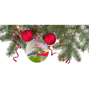 Hummingbird kerstversiering keramisch ornament