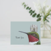 hummingbird king merci carte plate (Debout devant)