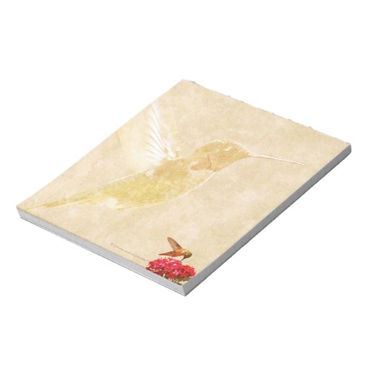 Hummingbird - KLEIN Notitieblok/Memo Pad Notitieblok (Gedraaid)