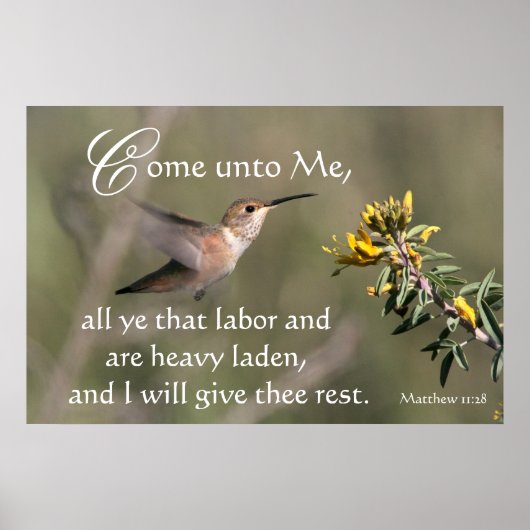 Hummingbird komt naar Jezus Print (Voorkant)