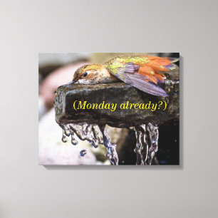Hummingbird Laing in Water Canvas Afdruk