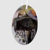 Hummingbird Laing in Water Ornament (voorkant)