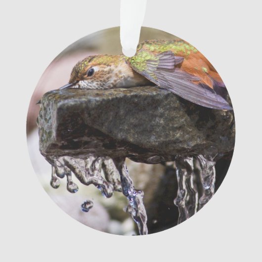 Hummingbird Laing in Water Ornament (voorkant)