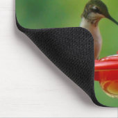 Hummingbird Lover Mousepad Muismat (Hoek)