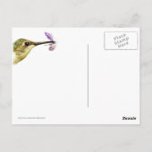 Hummingbird Lunch Briefkaart (Achterkant)