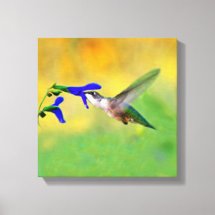 Hummingbird Lunch Canvas Afdruk