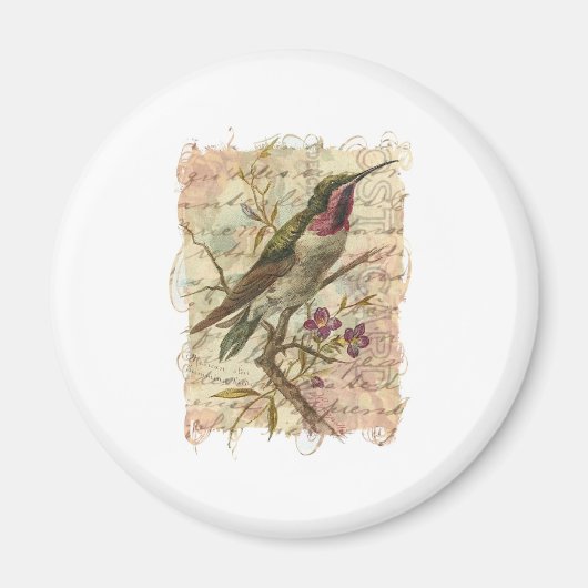 Hummingbird Magneet (Voorkant)