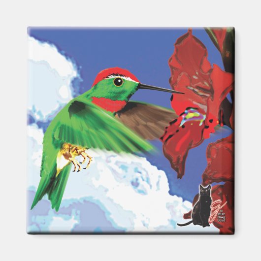 Hummingbird Magnet Magneet (Voorkant)