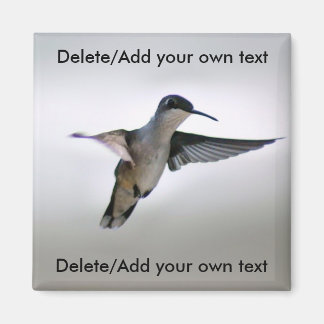 Hummingbird Magnet Magneet
