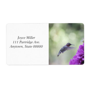Hummingbird met paarse dahlias etiket