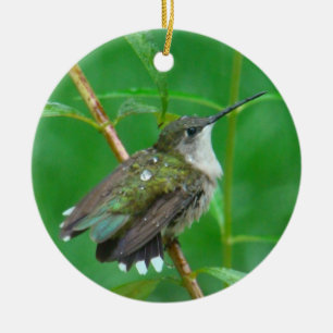 Hummingbird met spreiding van de vleugels keramisch ornament