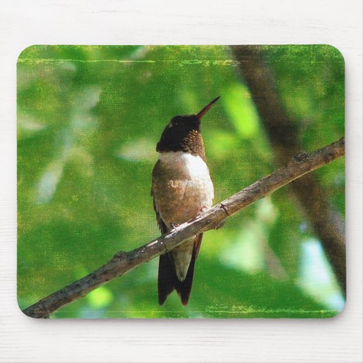 Hummingbird Morning Muismat (Voorkant)
