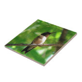 Hummingbird Morning Tegeltje (Zijkant)