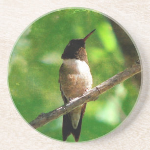 Hummingbird Morning Zandsteen Onderzetter