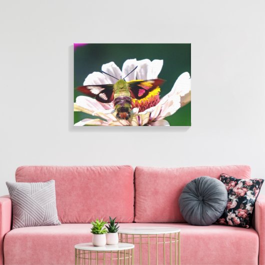 Hummingbird Moth Canvas Afdruk (Insitu (Woonkamer))