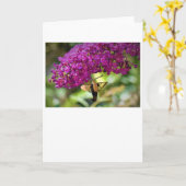 Hummingbird Moth, carte (Fleur jaune)