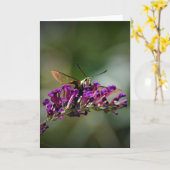 Hummingbird Moth, carte (Fleur jaune)