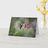 Hummingbird Moth, carte (Fleur jaune)