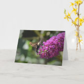 Hummingbird Moth, carte (Fleur jaune)