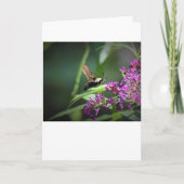 Hummingbird Moth, carte (Devant)