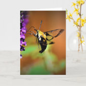 Hummingbird Moth, carte (Fleur jaune)