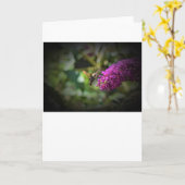 Hummingbird Moth, carte (Fleur jaune)