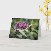 Hummingbird Moth, carte (Fleur jaune)