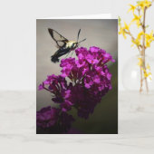 Hummingbird Moth, carte (Fleur jaune)