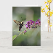 Hummingbird Moth, carte (Fleur jaune)