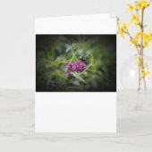 Hummingbird Moth, carte (Fleur jaune)