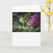 Hummingbird Moth, carte (Fleur jaune)