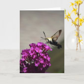Hummingbird Moth, carte (Fleur jaune)