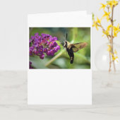 Hummingbird Moth, carte (Fleur jaune)