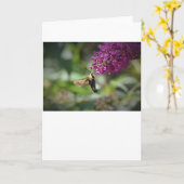 Hummingbird Moth, carte (Fleur jaune)