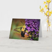 Hummingbird Moth, carte (Fleur jaune)