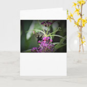 Hummingbird Moth, carte (Fleur jaune)