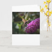 Hummingbird Moth, carte (Fleur jaune)