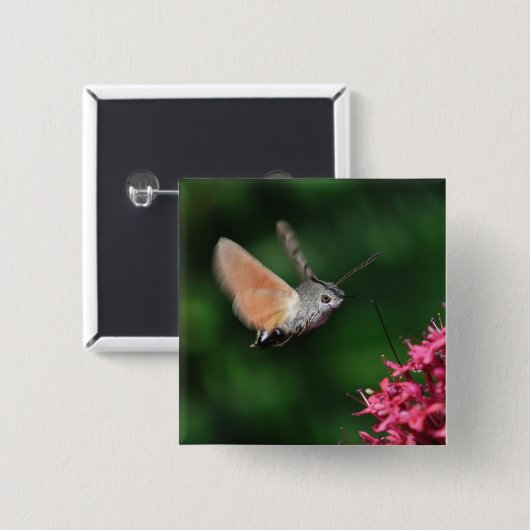 Hummingbird moth hovering vierkante button 5,1 cm (Voorkant /achterkant)