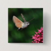 Hummingbird moth hovering vierkante button 5,1 cm (Voorkant)